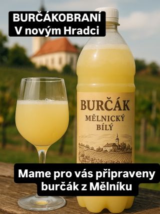 Burčáková sezóna je tady! Přijď ochutnat kousek Mělníka v tekuté podobě 🍷